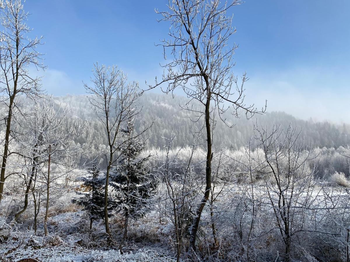 Pokoje Goscinne Pod Jaworem - Obok Pieknego Szlaku Wzdluz Rzeki Bialka, 1Km Do Stokow Kotelnica Dış mekan fotoğraf