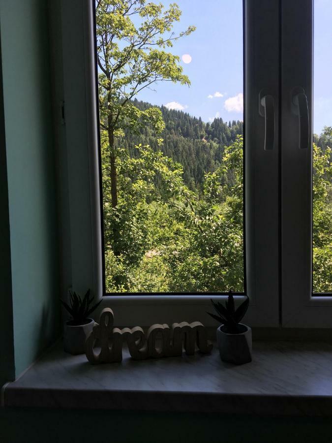Pokoje Goscinne Pod Jaworem - Obok Pieknego Szlaku Wzdluz Rzeki Bialka, 1Km Do Stokow Kotelnica Dış mekan fotoğraf